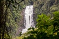 Deer Waterfall - Bocaina Range