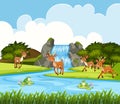 Deer in waterfall scene