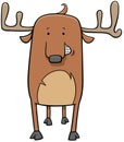 Deer wild animal character cartoon illustration