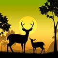 Deer Wildlife Indicates Safari Animals And Evening