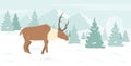 Deer in winter snow mountain landscape, snowy Christmas forest scene with cute reindeer Royalty Free Stock Photo