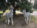 Deer from wire framework and stone under a fir-tree. Royalty Free Stock Photo