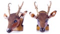 Deer wood vintage object on white background