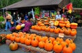 Deerfield, Massachusetts: Pumpkins at Roadside Farmstand Royalty Free Stock Photo