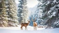 Deers Amidst a Snowy Winter Landscape, Adorned with Towering Fir Trees. Generative AI