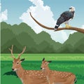 Deers and eagle on branch tropical fauna and flora landscape