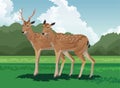 Deers field tropical fauna and flora landscape