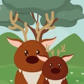 Deers cute animals cartoons Royalty Free Stock Photo