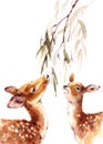 Deers Looking Up Eating Leaves Watercolor Animal Illustration Hand Painted