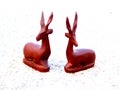 Deers in love