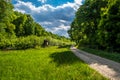 Deerstand Beneath Gravel Road In Deciduous Forest In Austria