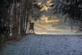 Deerstand in frozen winter forest