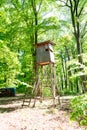 Deerstand in green forrest