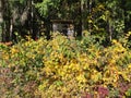 Deerstand hidden behind autumn colorful shrubbery