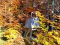 Deerstand in strong colored autumn environment