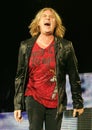 Def Leppard performs in concert