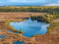 swamp lake from bird flight Royalty Free Stock Photo
