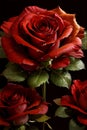 AI generative close-up red roses with small drops of water Royalty Free Stock Photo