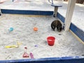 defecation of a cat on a children\'s sandbox