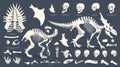 Defend ancient jurassic interior design with this dinosaur skeleton icon. It is an extinct pterodactyl icon from Royalty Free Stock Photo