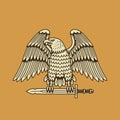 DEFENDER EAGLE WITH SWORD COLOR Royalty Free Stock Photo