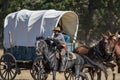 Defending the Supply Wagon Royalty Free Stock Photo