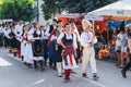 Defile of participants of Dragacevo Trumpet Festival Guca Royalty Free Stock Photo