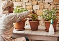 This is definitely one of my pastimes. Cropped shot of a relaxed senior woman tending to her marijuana plants and making