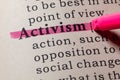 Definition of activism