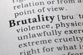 Definition of brutality