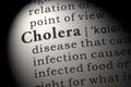 Definition of cholera