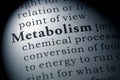 Definition of metabolism Royalty Free Stock Photo