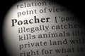 Definition of poacher
