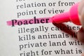 Definition of poacher Royalty Free Stock Photo