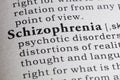 Definition of Schizophrenia Royalty Free Stock Photo
