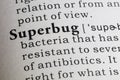 Definition of superbug