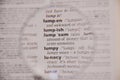The definition of the word Lump sum in a dictionary, under magnifying glass, translator and language concept Royalty Free Stock Photo