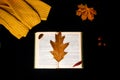 Defocus autumn flatlay. Open book with autumn leaves on it. Yellow leaves. Background. Flat lay composition with autumn