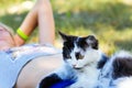 Defocus blonde little girl lying on grass with cat, black and white small cute kitten with yellow eyes close-up. Nature Royalty Free Stock Photo