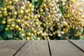 Defocus and blur image of terrace wood and Fresh longan