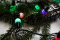 Defocus close-up fir tree branches with glowing red, green and purple Christmas light as background. Many light bulb Royalty Free Stock Photo