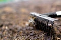 Defocus Close-up garden rake. Black metal rake is being pulled through dry soil ready for planting. old rake on a garden