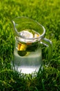Defocus close-up glass jug of lemonade with lemon and mint on natural green nature background. Pitcher of cold summer Royalty Free Stock Photo
