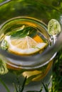 Defocus close-up lemon and leaves of mint in glass jug of lemonade natural green background. Pitcher of cool summer