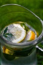 Defocus close-up lemon and mint in glass jug of lemonade on natural green nature background. Pitcher of cold summer Royalty Free Stock Photo