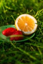 Defocus close-up saucer with lemon and two strawberry standing on deep green grass. Blurred nature background. Bright Royalty Free Stock Photo