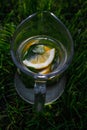 Defocus close-up slice lemon and leaves of mint in glass jug of lemonade natural green background. Pitcher of cool