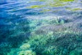 Defocus Coral Reef Under Crystal Clear Turquoise Water