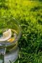 Defocus cropped glass jug of lemonade with lemon and mint on natural green nature background. Pitcher of cold summer Royalty Free Stock Photo