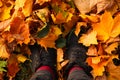 Defocus feet sneakers walking on fall leaves. Outdoor with Autumn season nature on background. Lifestyle Fashion trendy Royalty Free Stock Photo